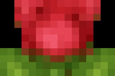 Yêu thương cho đi là yêu thương còn mãi